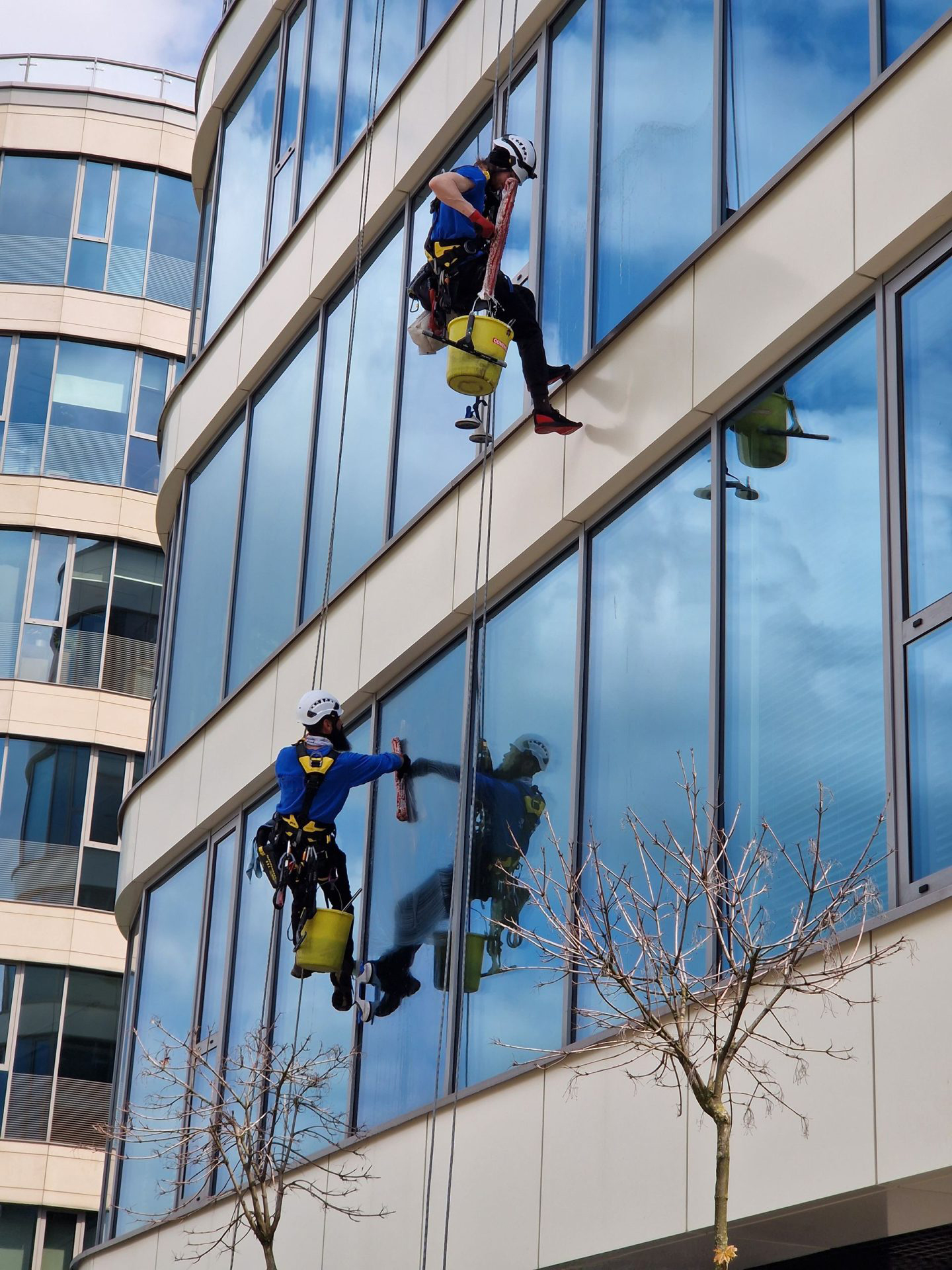 Fensterreinigung an einer Glasfassade mit Seilsicherung
